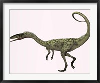 Coelophysis bauri dinosaur from the Triassic Period Fine Art Print