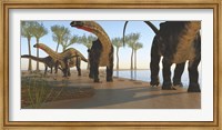 A herd of Apatosaurus dinosaurs Fine Art Print