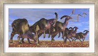 A herd of Parasaurolophus dinosaurs searching for vegetation Fine Art Print