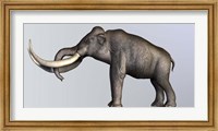 Profile view of Columbian Mammoth Fine Art Print
