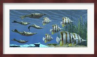 Prehistoric Pteraspis jawless fish swimming with a group of Chelmon Butterflyfish Fine Art Print