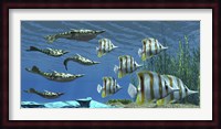 Prehistoric Pteraspis jawless fish swimming with a group of Chelmon Butterflyfish Fine Art Print