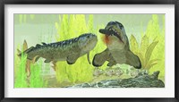 Rhizodus hibberti, a group of Carboniferous lobe-finned fish Fine Art Print