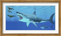 Seals race to get away from a giant Megalodon shark Fine Art Print