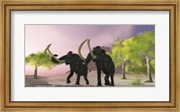 Two Woolly Mammoths searching for better vegetation to eat Fine Art Print