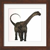 Antarctosaurus dinosaur from the Cretaceous Period Fine Art Print