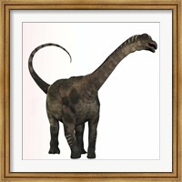 Antarctosaurus dinosaur from the Cretaceous Period Fine Art Print