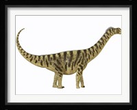 Camarasaurus was a sauropod dinosaur that lived during the Jurassic Age Framed Print