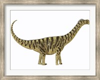 Camarasaurus was a sauropod dinosaur that lived during the Jurassic Age Fine Art Print