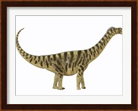 Camarasaurus was a sauropod dinosaur that lived during the Jurassic Age Fine Art Print