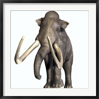 Columbian Mammoth Framed Print