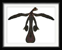Microraptor was a flying dinosaur that lived during the Cretaceous Period Framed Print