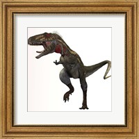 Nanotyrannus dinosaur Fine Art Print