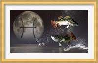 Pisces is the twelfth astrological sign of the Zodiac Fine Art Print