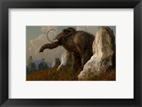 A mammoth standing among stones on a hillside Fine Art Print