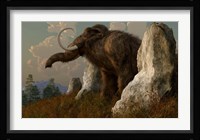 A mammoth standing among stones on a hillside Fine Art Print