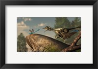 An Archaeopteryx stalks a dragonfly on a rock Fine Art Print