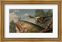An Archaeopteryx stalks a dragonfly on a rock Fine Art Print