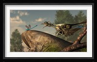 An Archaeopteryx stalks a dragonfly on a rock Fine Art Print