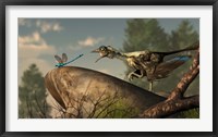 An Archaeopteryx stalks a dragonfly on a rock Fine Art Print