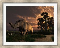 A Megacerops grazing a prehistoric landscape Fine Art Print