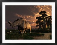 A Megacerops grazing a prehistoric landscape Fine Art Print