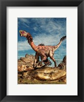 Citipati on a rock in an arid landscape Fine Art Print