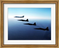 Three F-5E Tiger IIs fly in formation with a Learjet 25 Fine Art Print