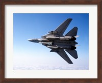 An F-14A Tomcat with missile armament Fine Art Print