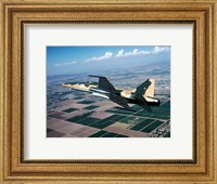 An F-5E Tiger II in flight over El Centro, California Fine Art Print