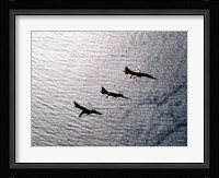 An F-5F Tiger II, F-5E Tiger II and A-4 Skyhawk Fine Art Print