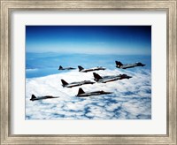 Four F-14 Tomcats and three F-5 Tiger IIs in flight Fine Art Print