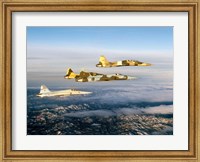Four F-5 Tiger II's fly above Southern California Fine Art Print