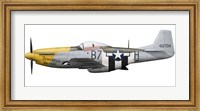 P-51D Mustang, nicknamed Ferocious Frankie Fine Art Print