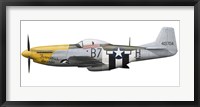 P-51D Mustang, nicknamed Ferocious Frankie Fine Art Print