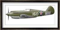 Illustration of a Curtis P-40 Warhawk Fine Art Print