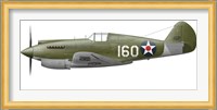 Illustration of a Curtis P-40 Warhawk Fine Art Print