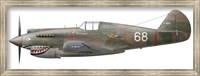 Illustration of a Curtiss P40-C Warhawk of the Flying Tigers Fine Art Print