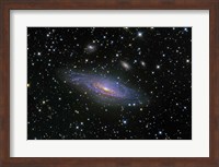 NGC7331 Galaxy and its companion galaxies Fine Art Print