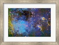 IC 410, The Tadpole Nebula Fine Art Print
