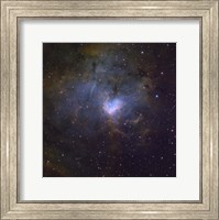 NGC 1491, an emission nebula in the constellation of Perseus Fine Art Print