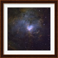 NGC 1491, an emission nebula in the constellation of Perseus Fine Art Print