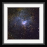 NGC 1491, an emission nebula in the constellation of Perseus Fine Art Print