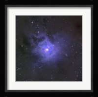 The Iris Nebula Fine Art Print