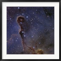 The Elephant's Trunk Nebula in the star cluster IC 1396 Fine Art Print