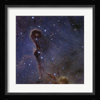The Elephant's Trunk Nebula in the star cluster IC 1396 Fine Art Print