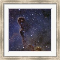 The Elephant's Trunk Nebula in the star cluster IC 1396 Fine Art Print
