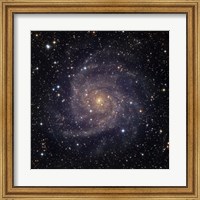 IC 342, an intermediate spiral galaxy in the constellation Camelopardalis Fine Art Print
