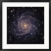 IC 342, an intermediate spiral galaxy in the constellation Camelopardalis Fine Art Print