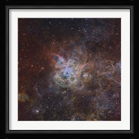 The Tarantula Nebula Fine Art Print